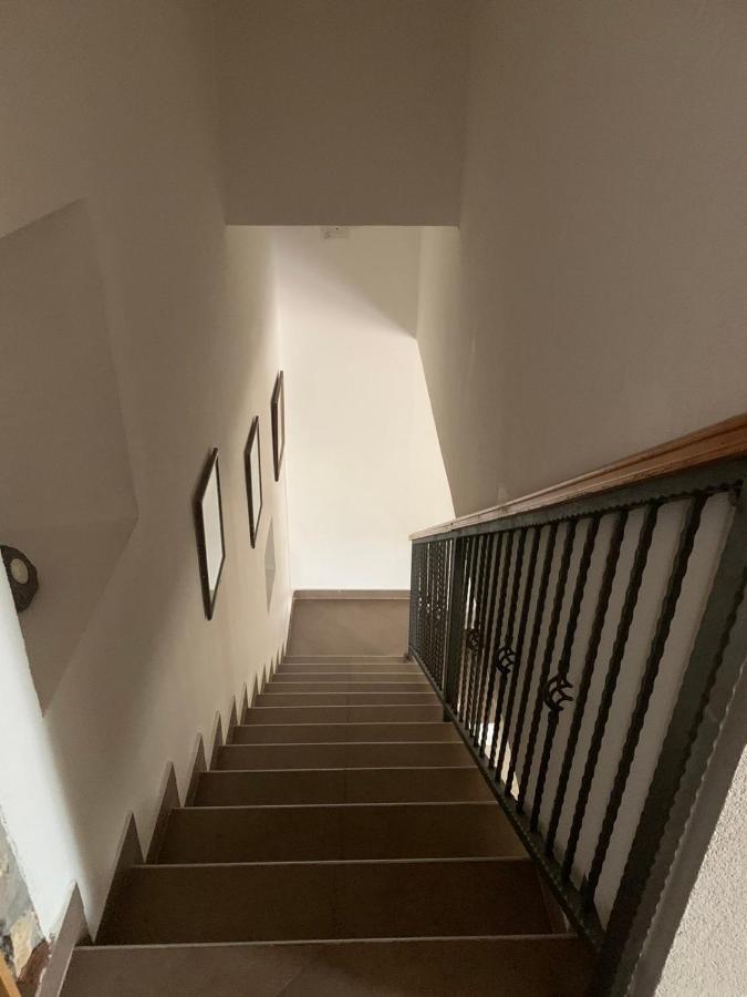 Apartments Vuk Luštica Bilik gambar